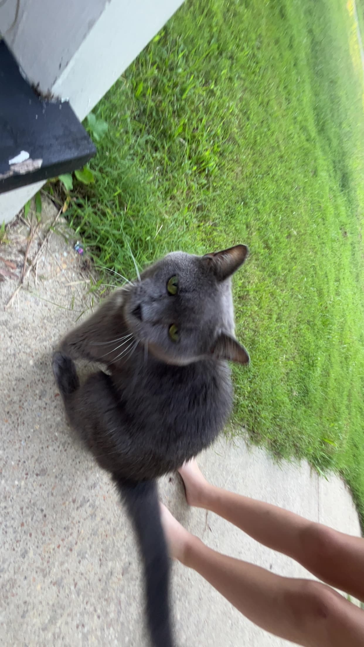 Ms. Tilly