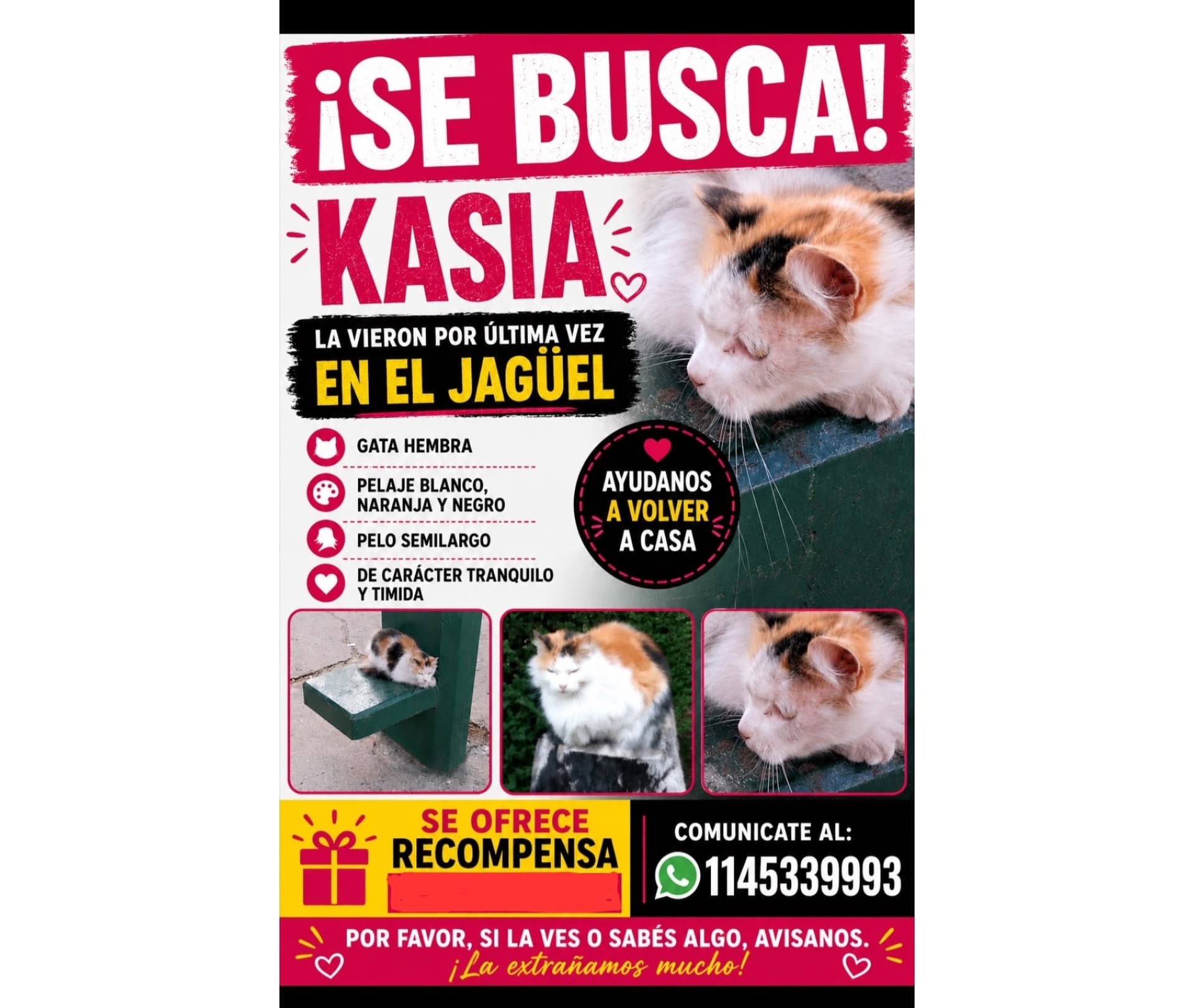 Kasia