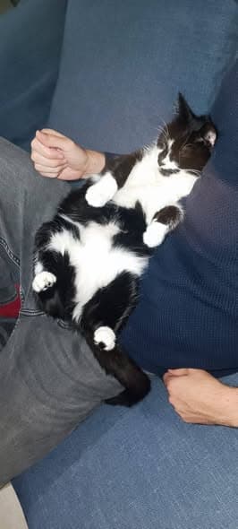 Suzie
