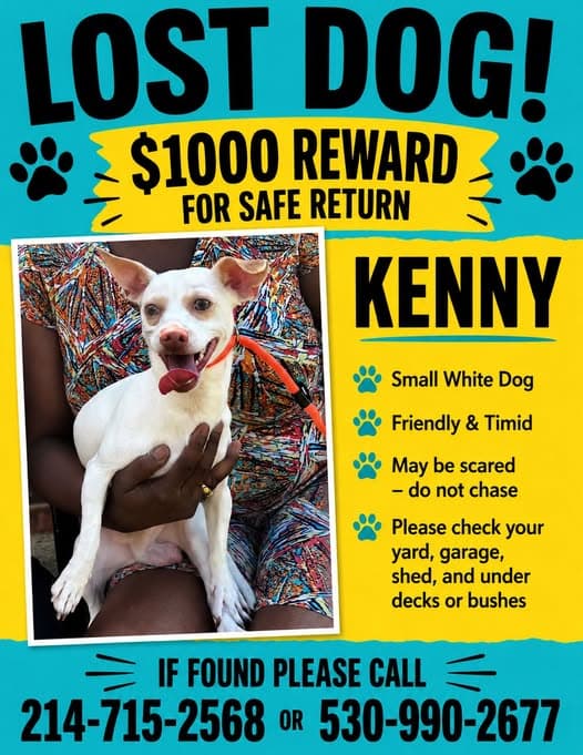 Kenny