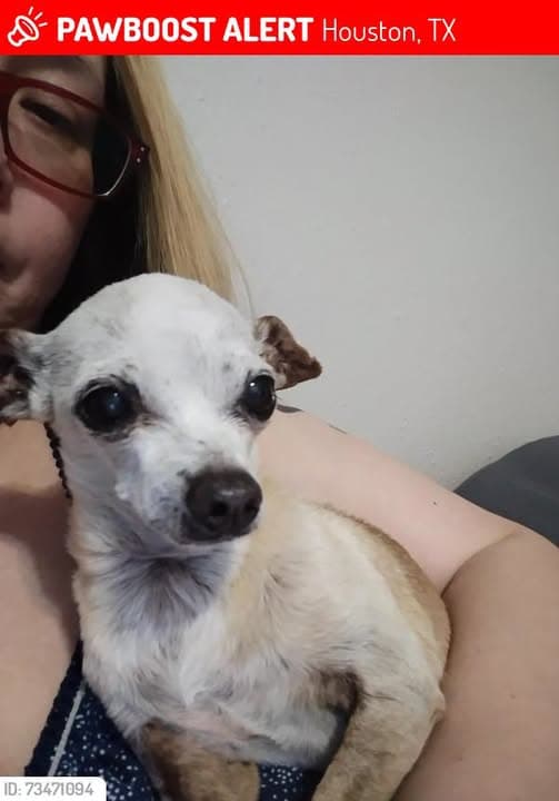 Chico