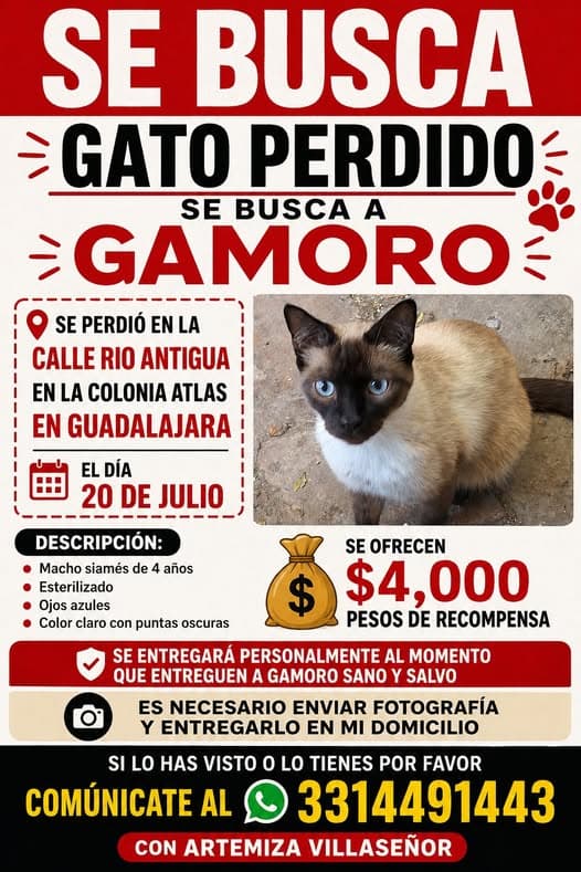 Gamoro