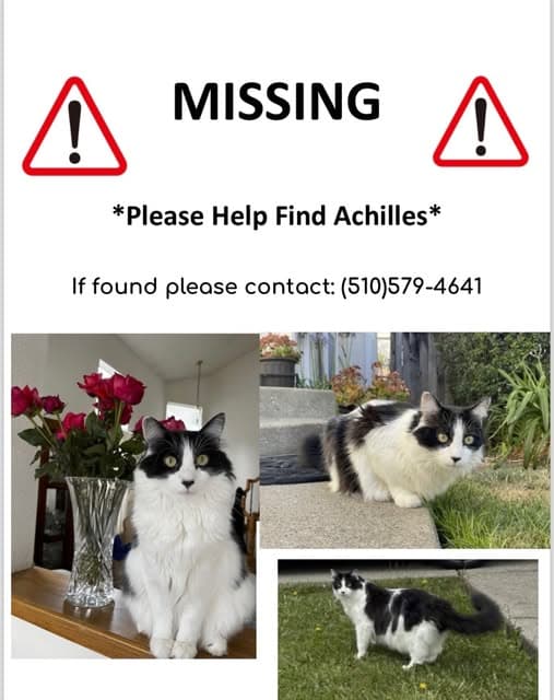 Achilles