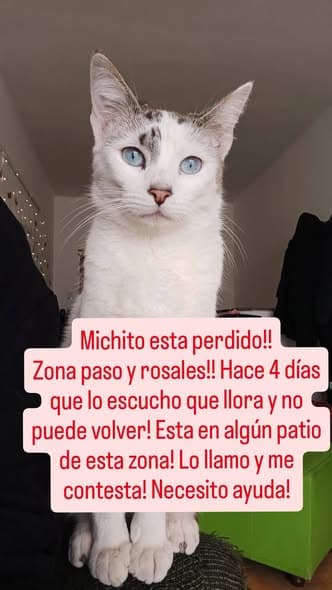 Michito