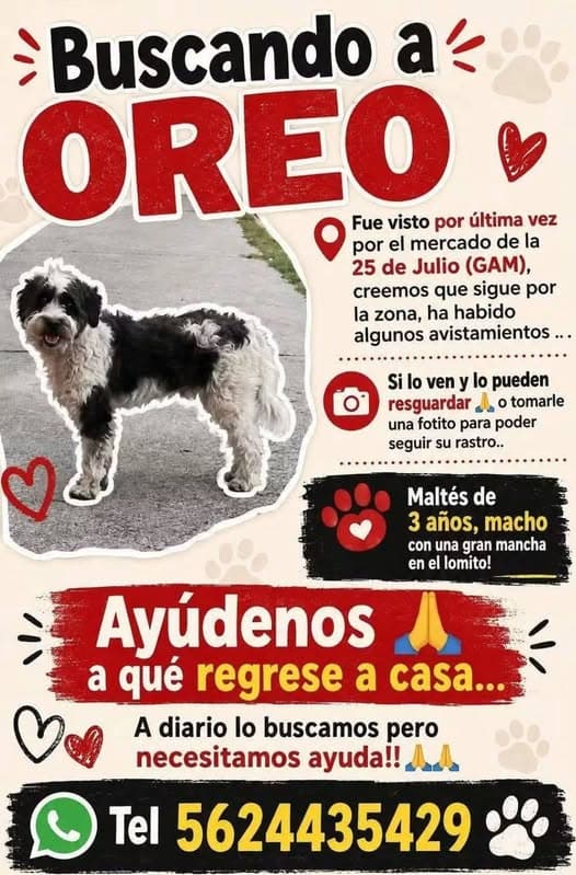 oreo