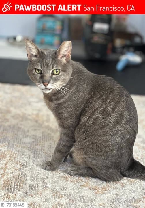 Chat