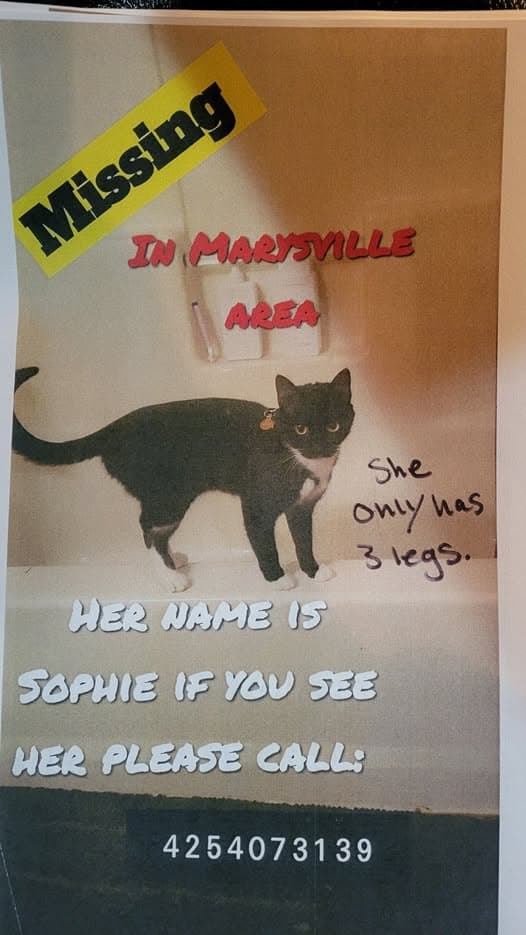 Sophie