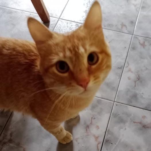 MILO