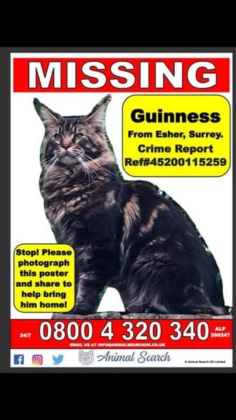 Guinness
