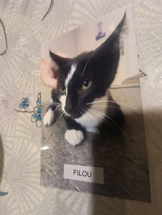 Filou