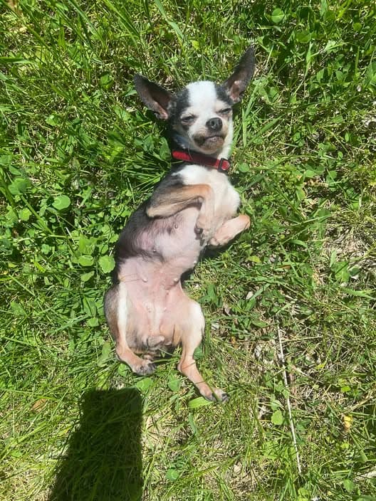Coco