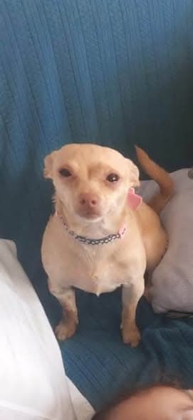 Kimberley
