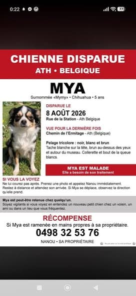 Princesse, Mya, Tchoumpi