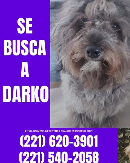 DARKO