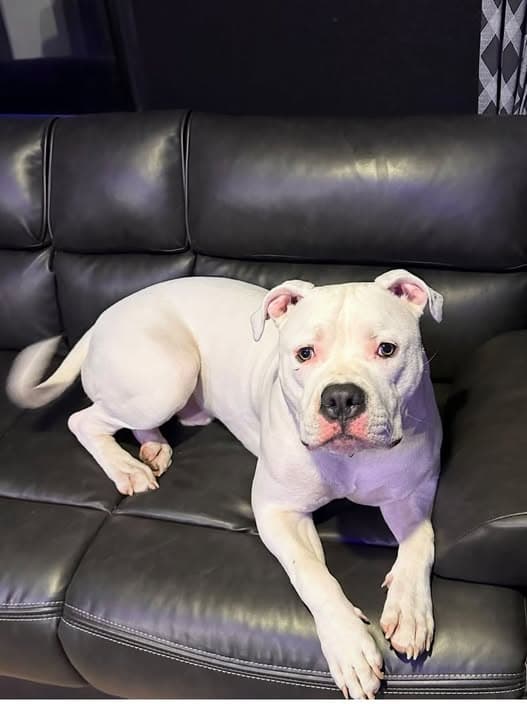 Rosco