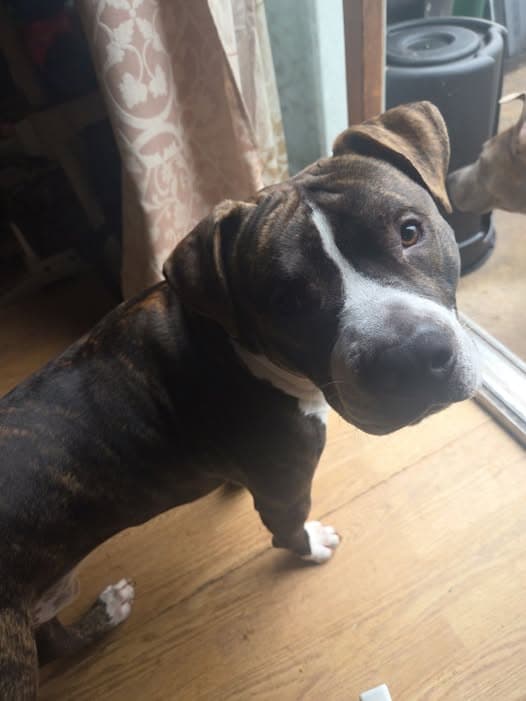 Max