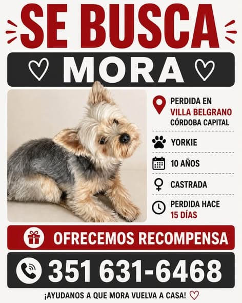 Mora