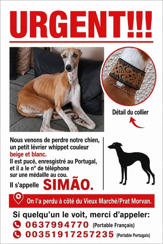 SIMĂO