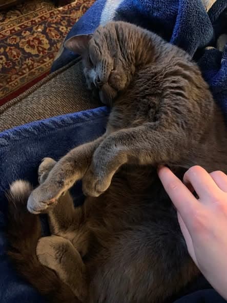 Jasper