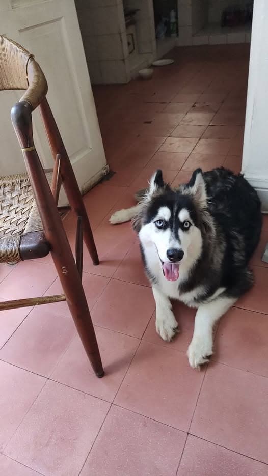 Kenai