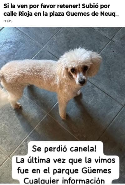 Canela
