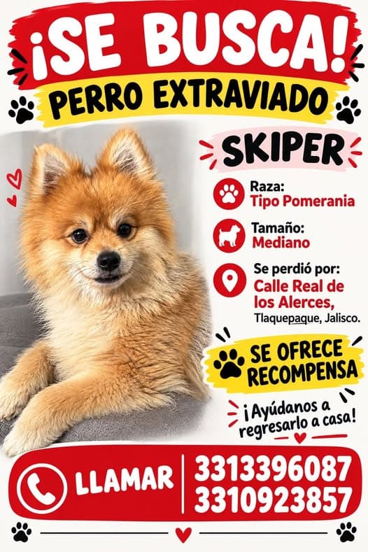 Skiper