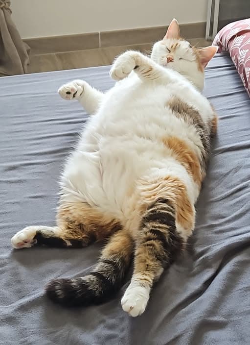 Romy