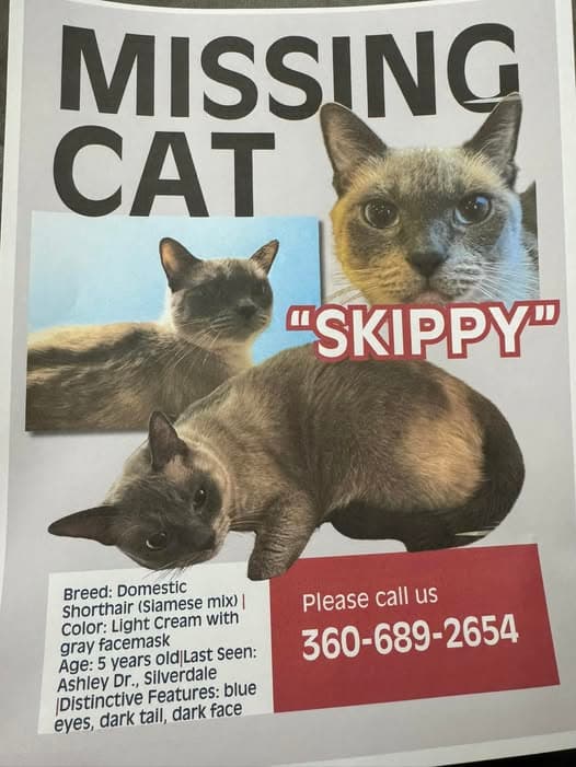 Name des Haustieres Skippy