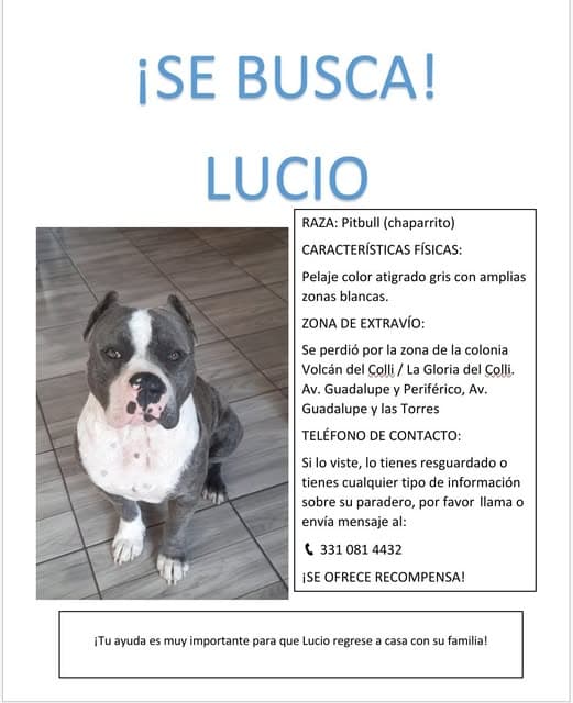 Lucio