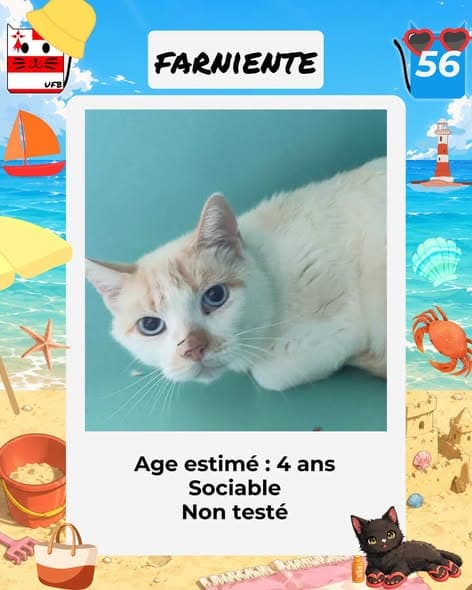 Nombre de la Mascota Flot