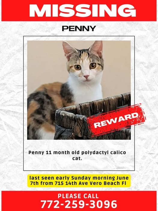 Penny
