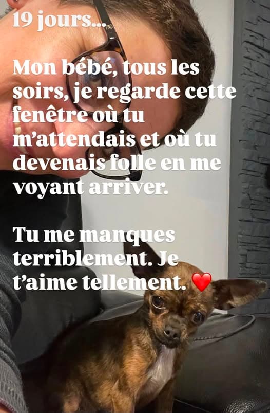 Pet Name Petite Chihuahua