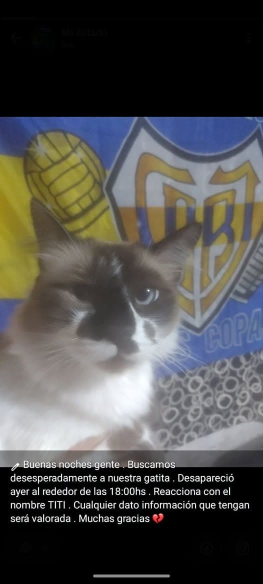 Tití