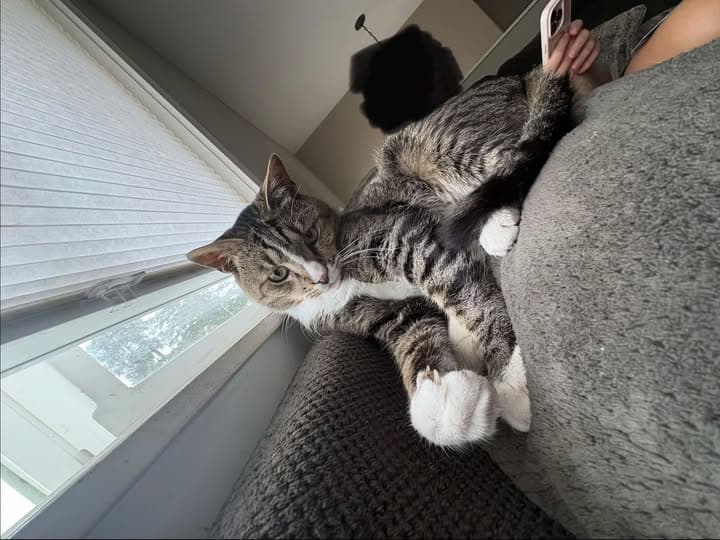 Oliver