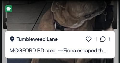 FIONA
