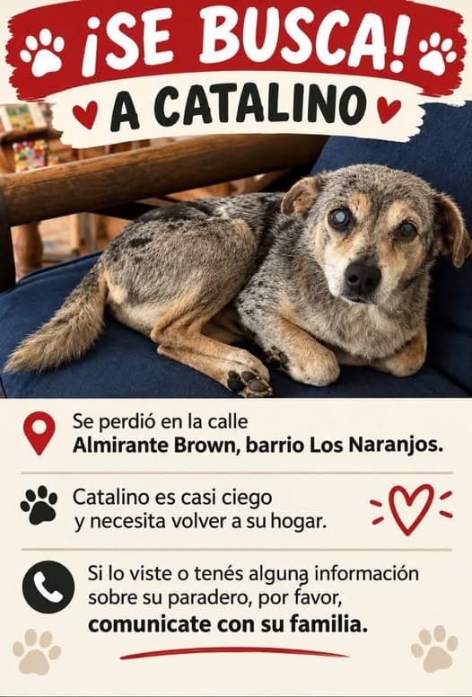 Catalino