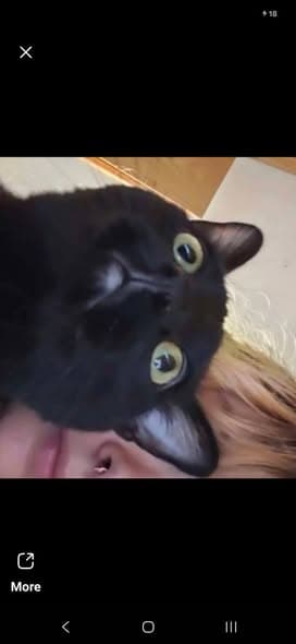 Lydia
