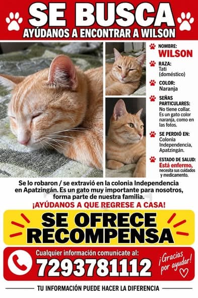 Wilson