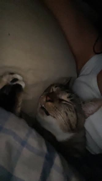 Mittens