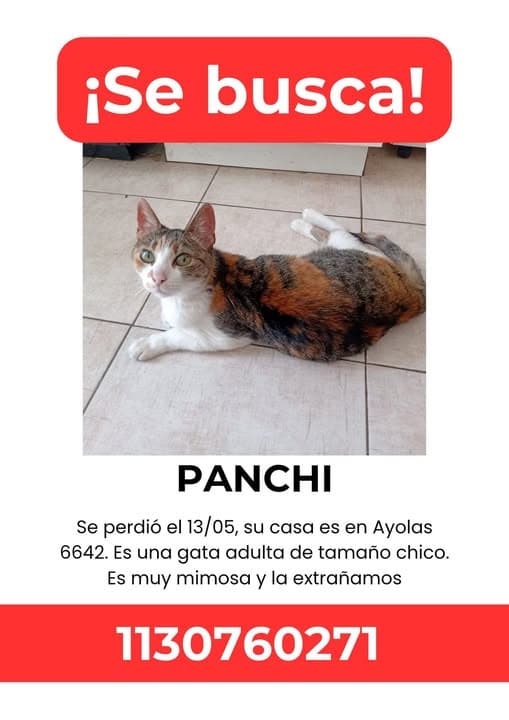 Panchi
