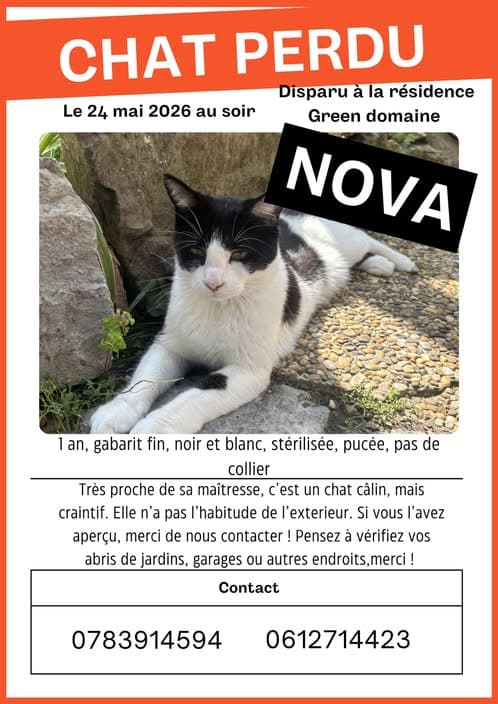 Nova