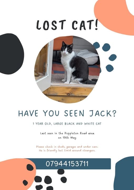 Name des Haustieres Jack