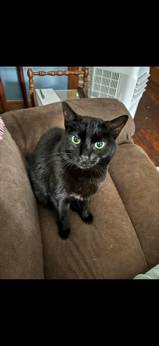 Abby
